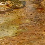 Travertine terraces at Mammoth