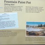 Making Mud - thermophiles